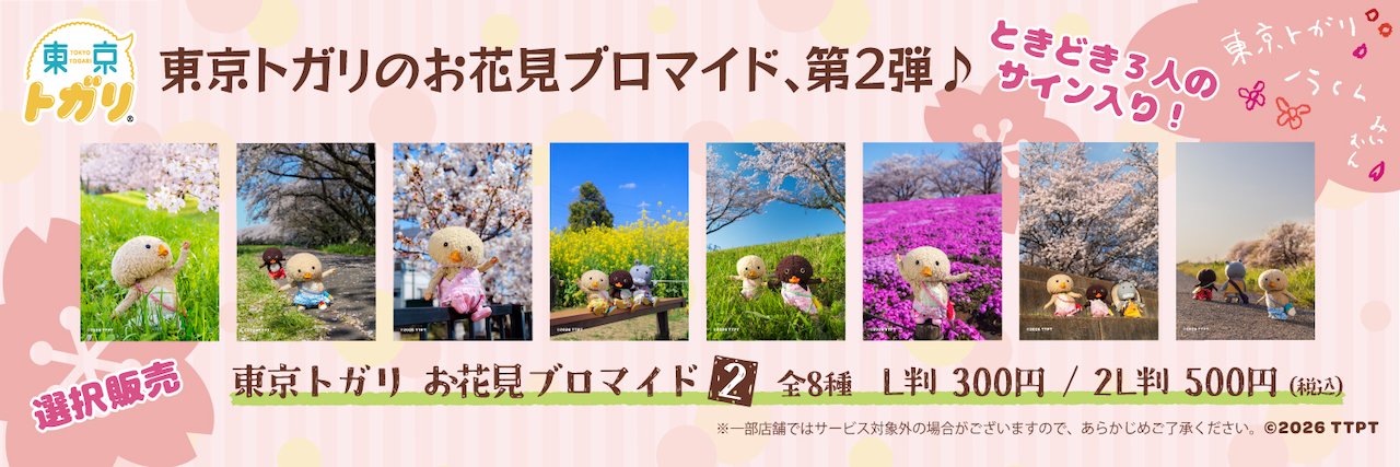 トガリちゃんねる banner