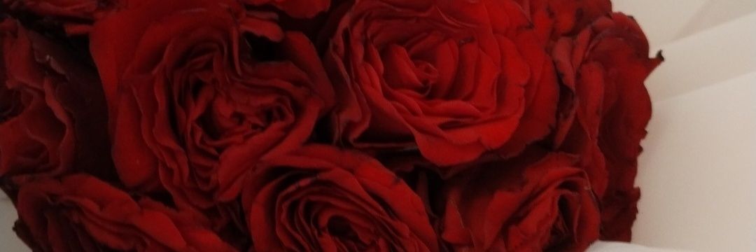 Alaa74922's profile banner image