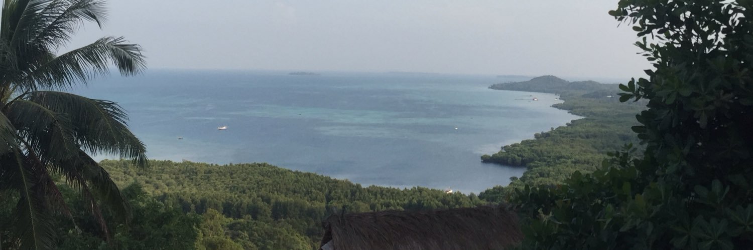 shelicalesi's profile banner image