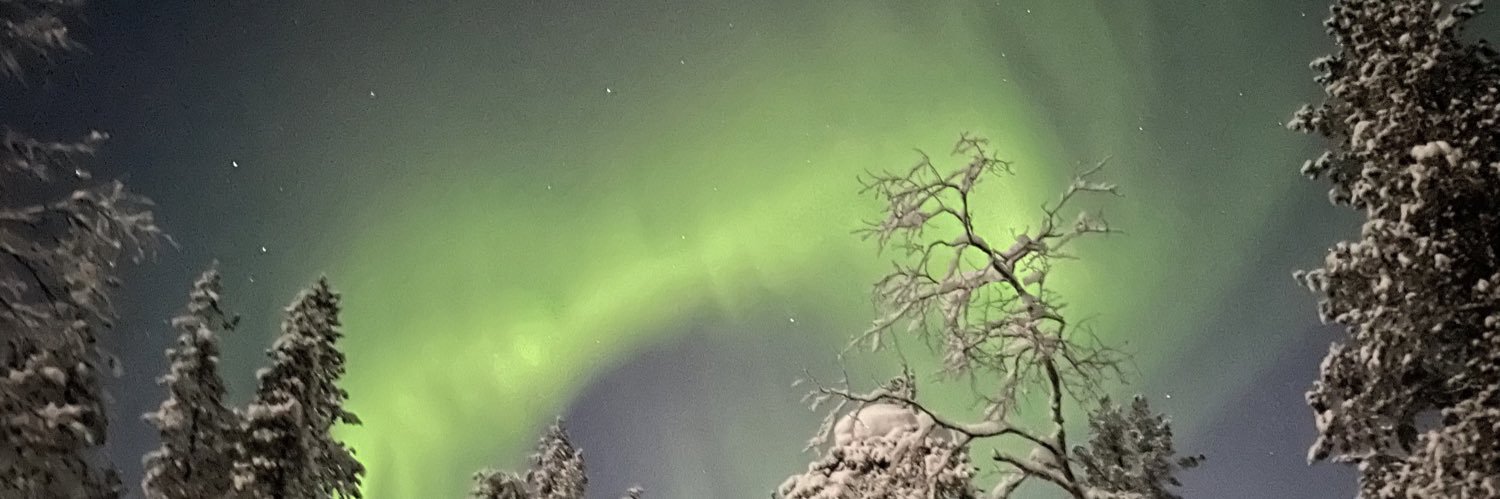 Auli Packalén banner