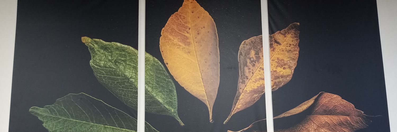 ajengaverroes's profile banner image