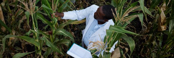 CGIARbreeding Profile Banner