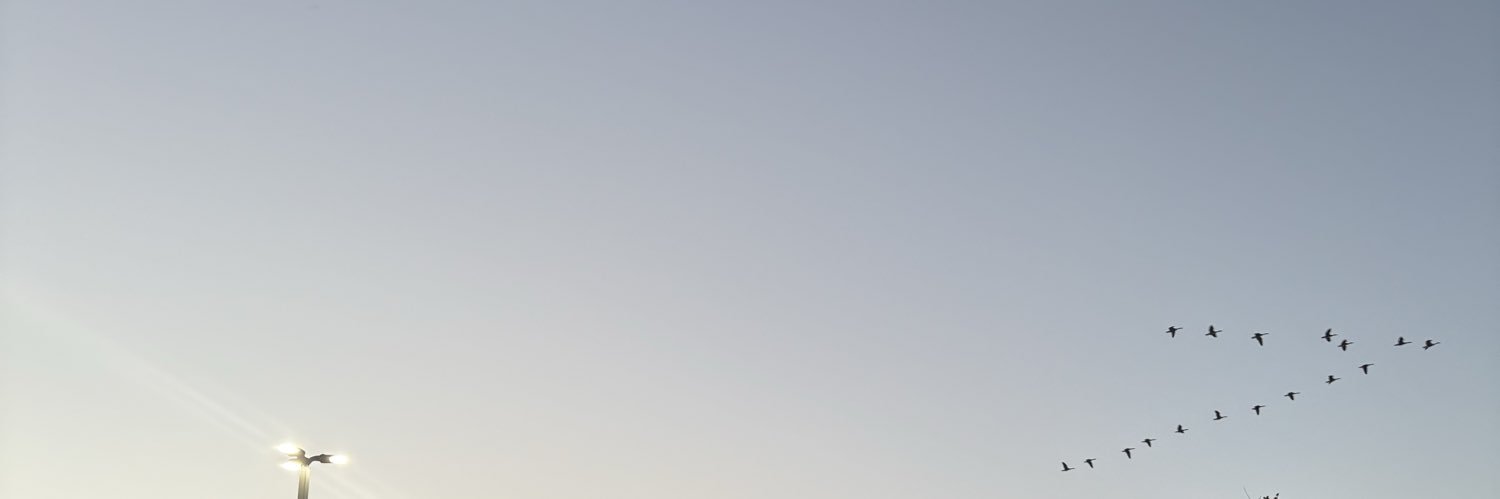 bbcblond's profile banner image