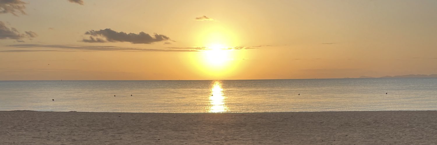lemonclean's profile banner image