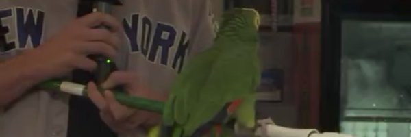 martymush Profile Banner