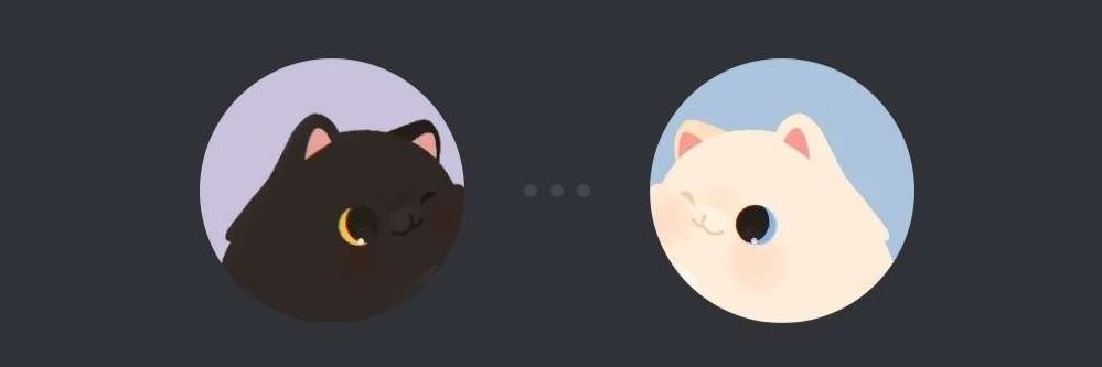 ✯✯ ✯✯ banner