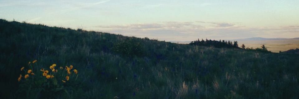 CMEEKZ's profile banner image