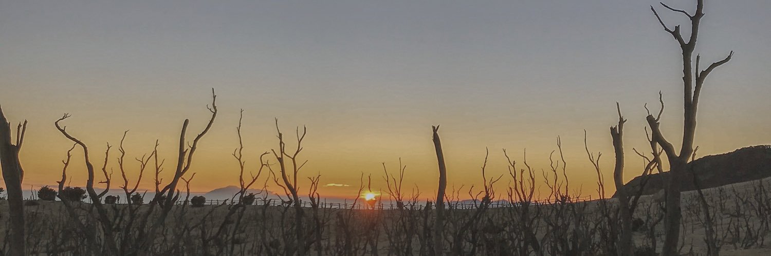 Kania_L's profile banner image