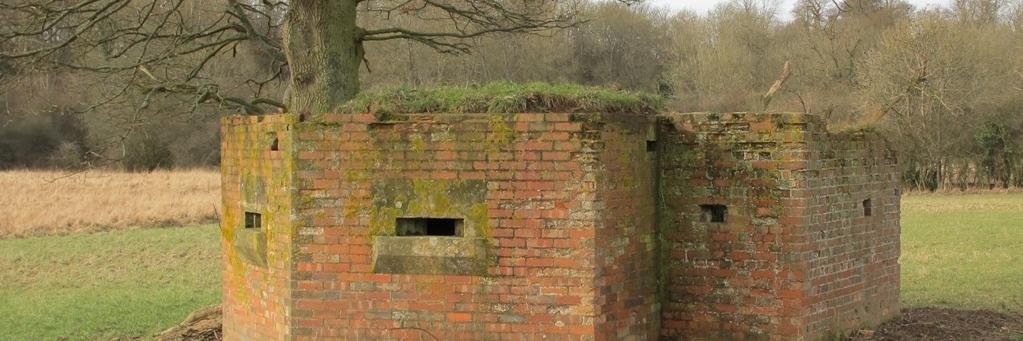 Pillbox Study Group banner