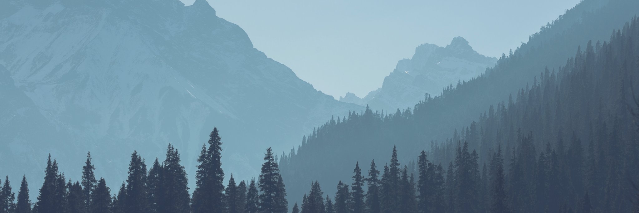 Fluidified banner