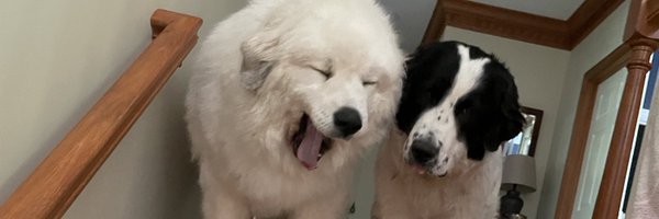 MendeszoonMyles Profile Banner