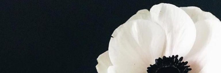 yekmicrob's profile banner image