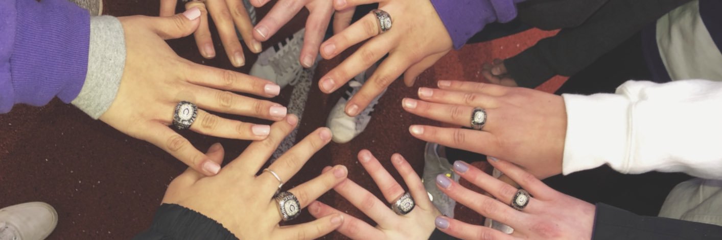 Chantilly Volleyball banner