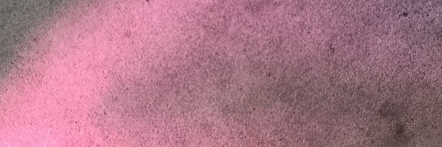 FionaDVK's profile banner image