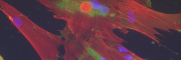 wo_jules Profile Banner