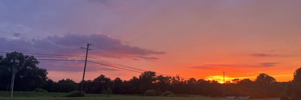 Madelyn13089063 Profile Banner