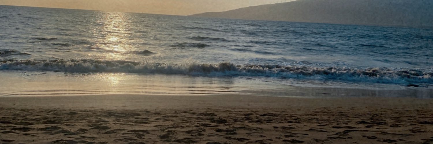 T A Y🇵🇷👸🏾 banner