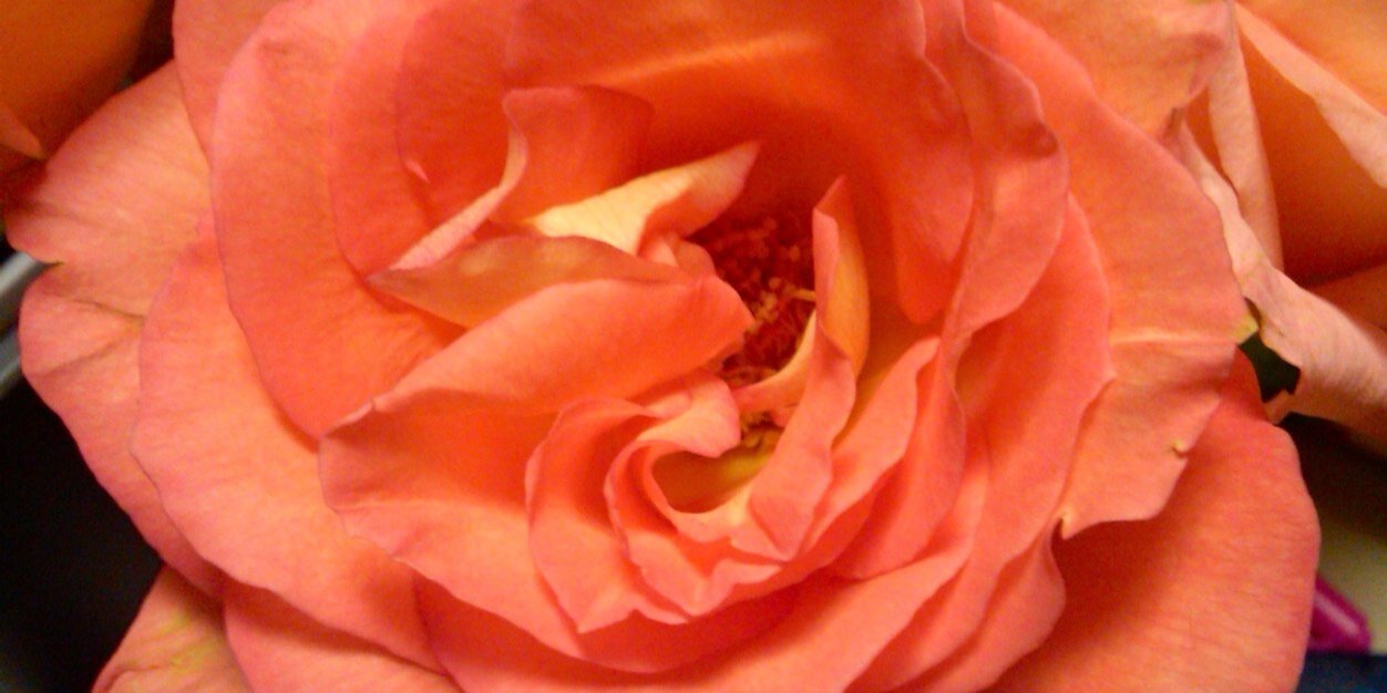 cterrell9's profile banner image