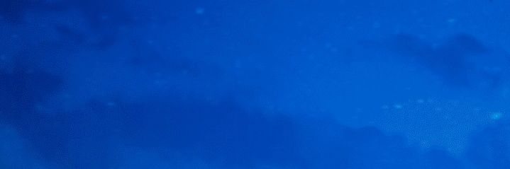 shingaichi's profile banner image