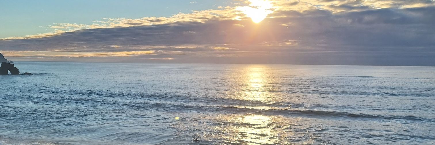 toby_mearns's profile banner image