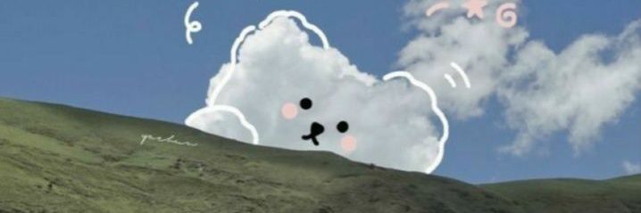 هويش بن هاوش banner