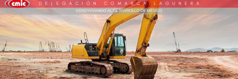 CMIC LAGUNA banner