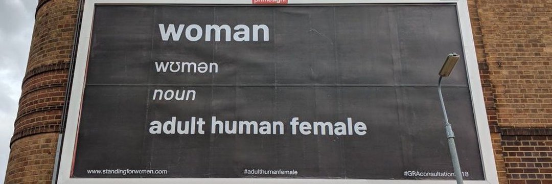 ✈️ Viajera 🌷🇵🇸 🕊️ banner