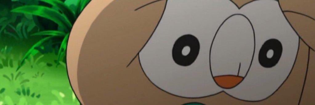 CameronLeakey's profile banner image