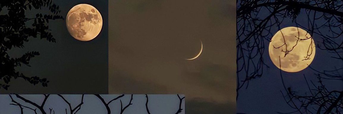 Ss4G_'s profile banner image