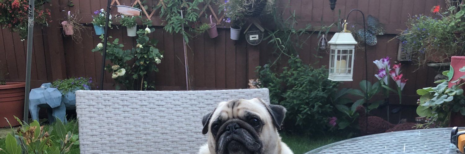 whiskeyntits's profile banner image