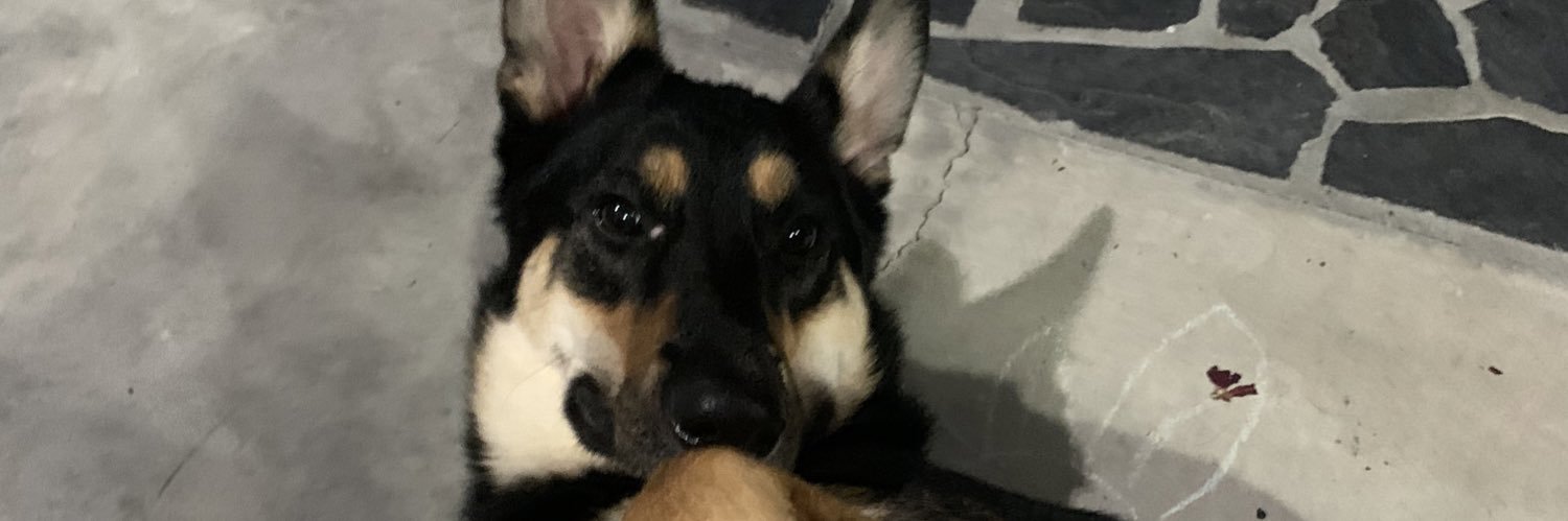 sawuh's profile banner image