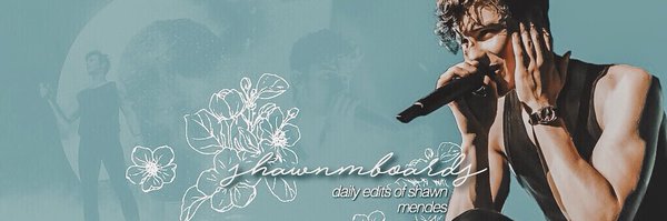 shawn mendes boards Profile Banner