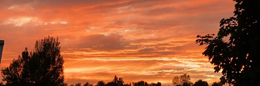 Hailey_Belaire's profile banner image