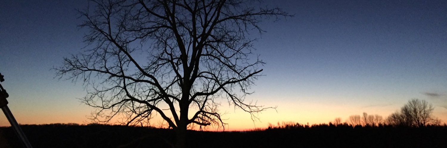 Sandy_Clee's profile banner image