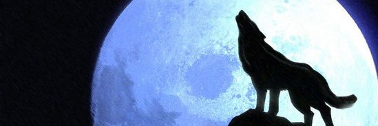 sa888ed's profile banner image