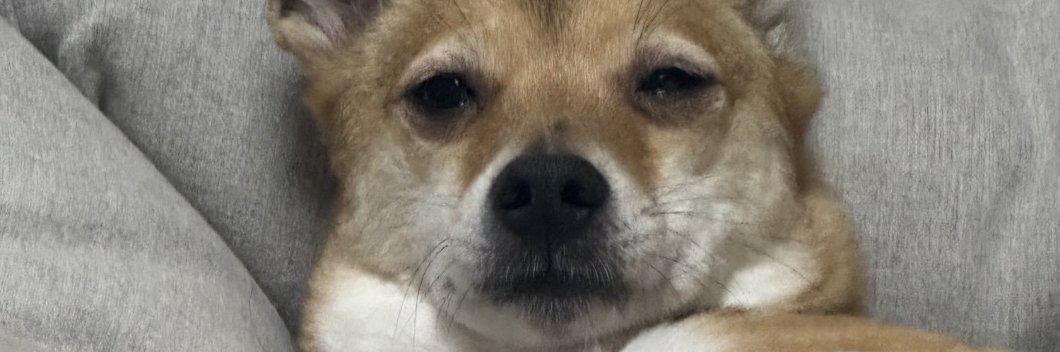 짱호잇 banner