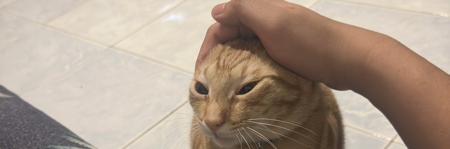 Ferdinand Aragon banner