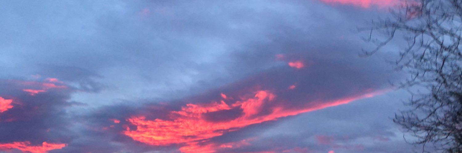 AlexEscri98's profile banner image