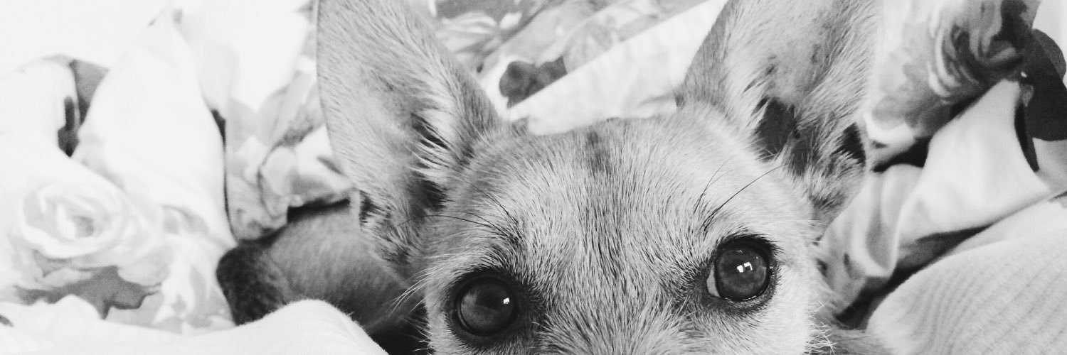 3bbzoor's profile banner image