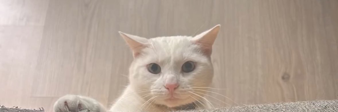 Juuliie76's profile banner image