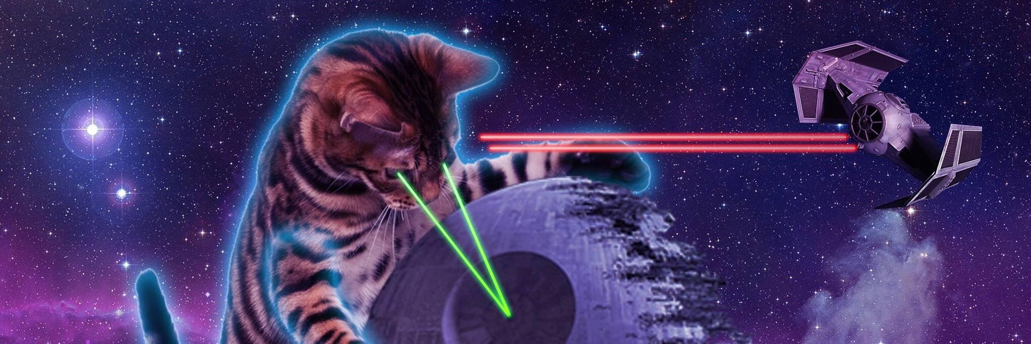 elipop1's profile banner image