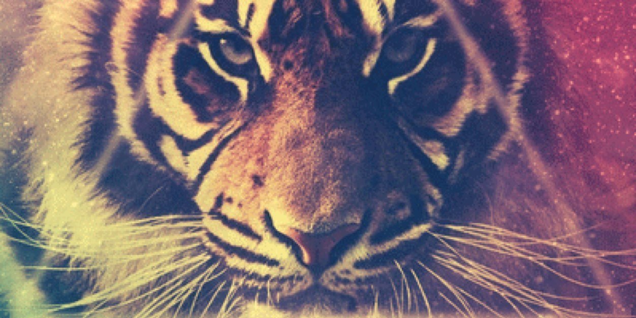 Shabrinaaow's profile banner image