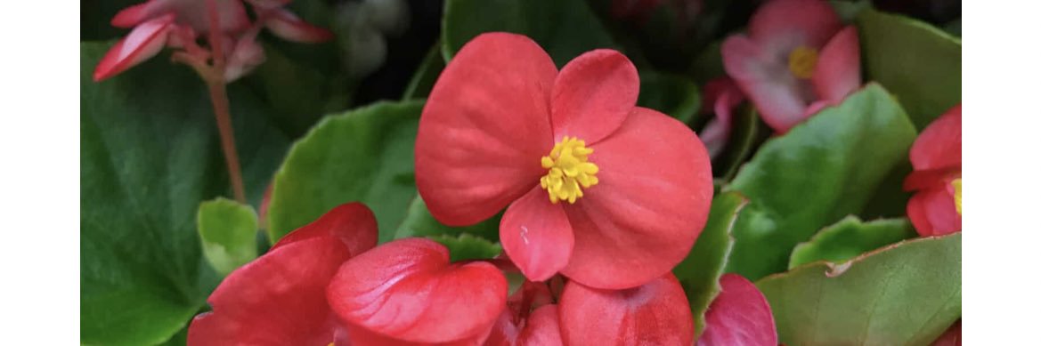 @au_ways 💕 banner