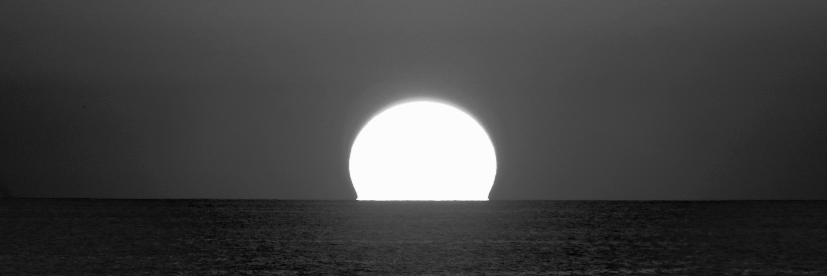 cosmic_coho's profile banner image
