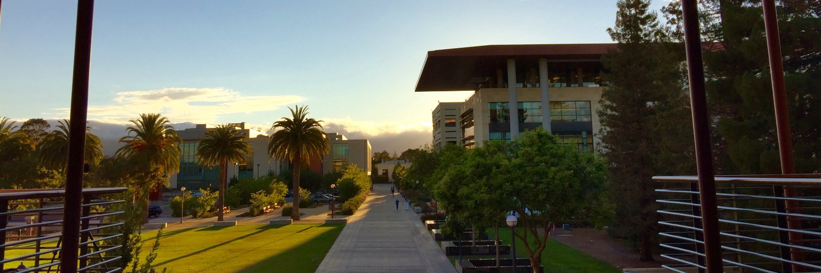 Stanford Immunology's banner