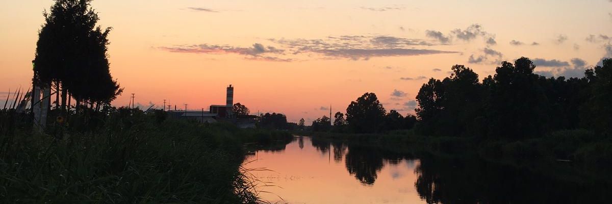 ZelihaDuzen's profile banner image