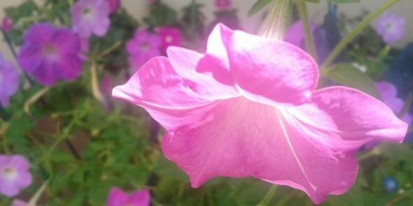 mumsgather's profile banner image