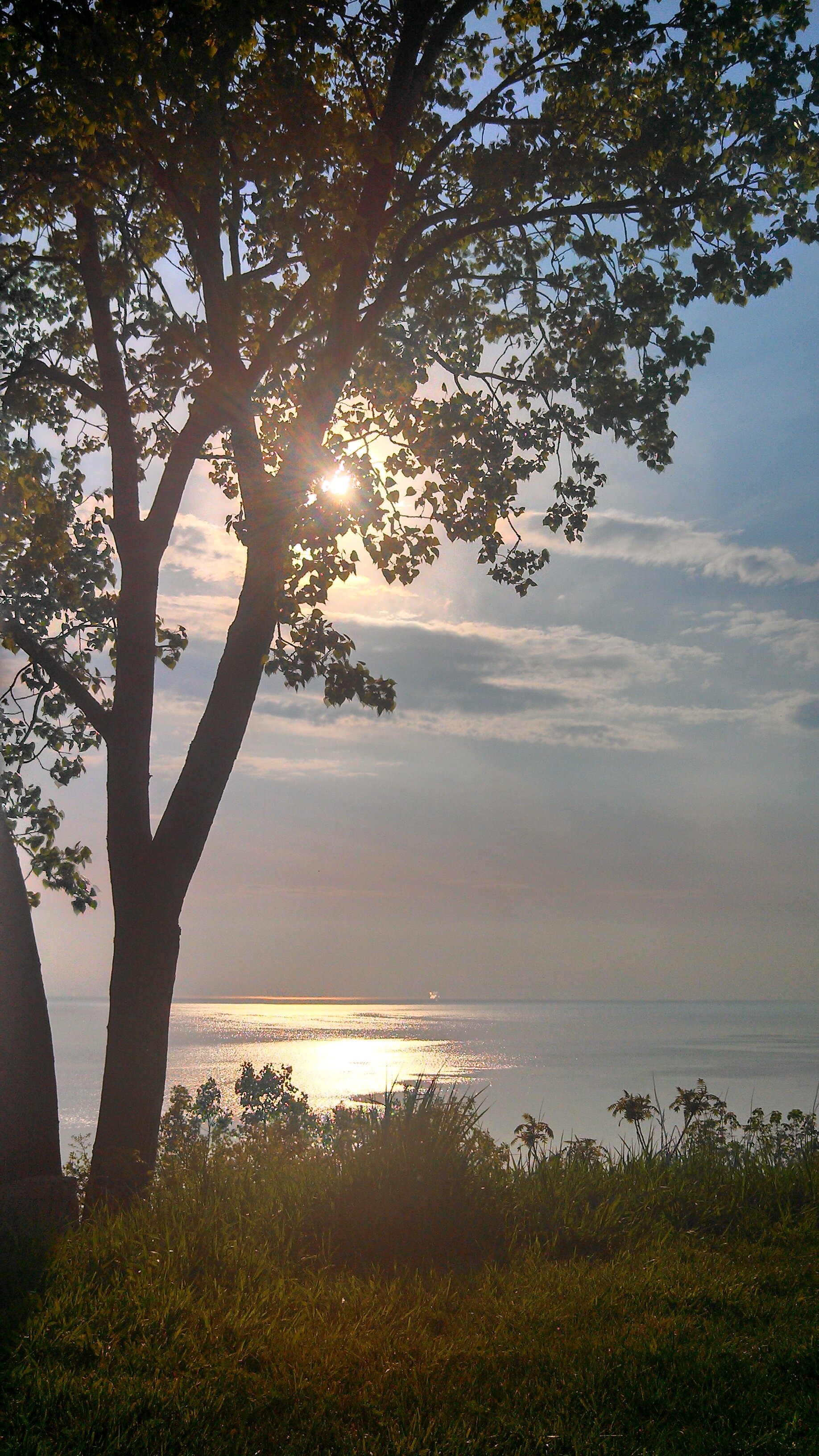 taytay_17's profile banner image