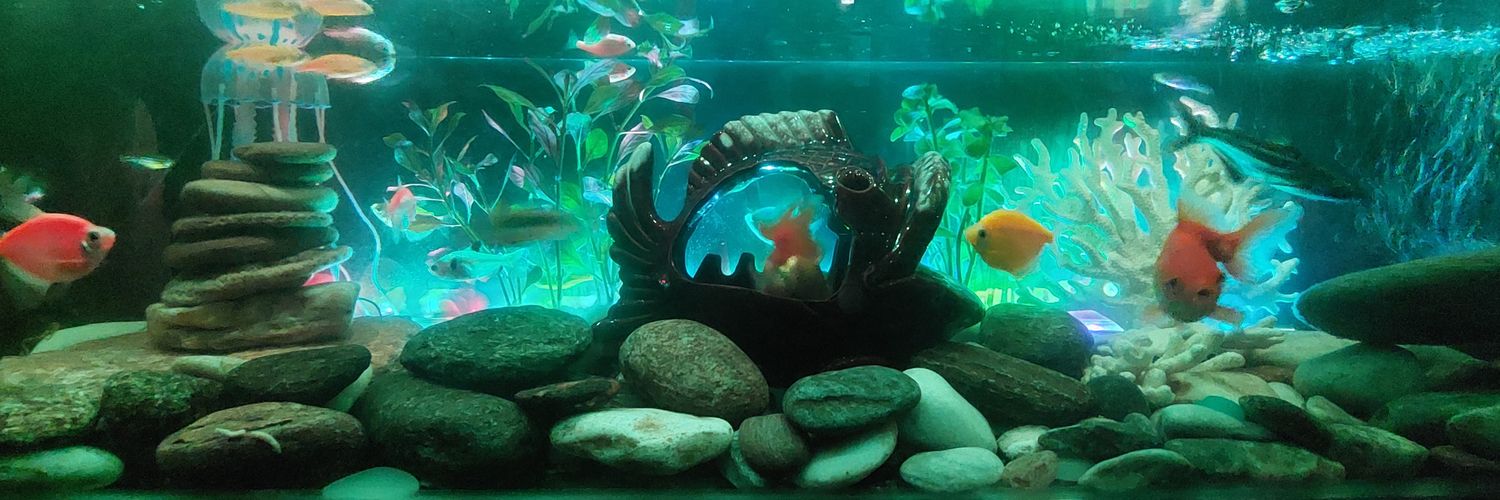 Harvyn Romanoff 𐋀 banner