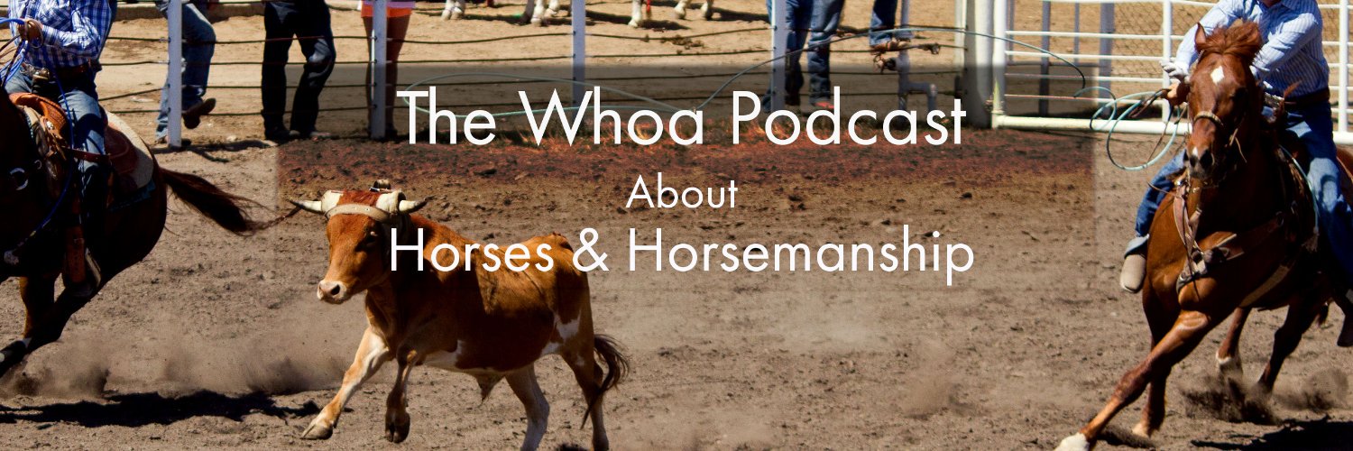 Whoapodcast's profile banner image